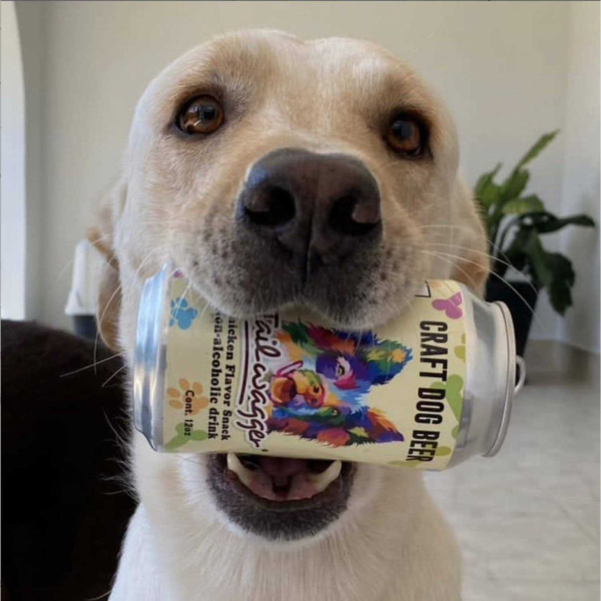 4-pack 12 oz Dog Beer B540087
