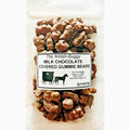 Milk Chocolate Covered Gummi Bears 1 Pound P56074
