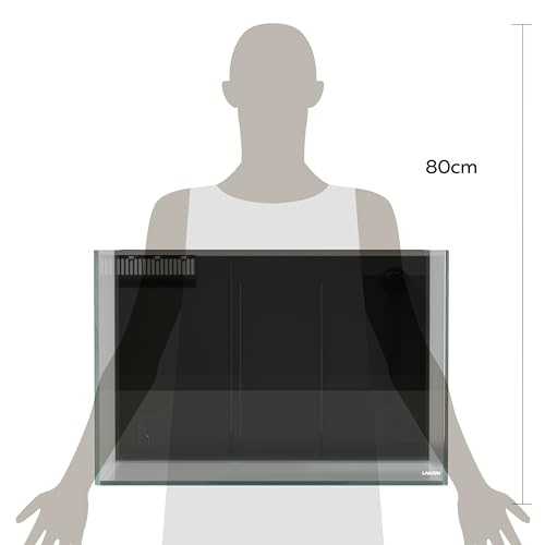 26.23 Gallon Rimless Low Iron Glass Aquarium Tank with Rear Filtration D563331