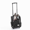 Travel Pet Carrier I30198
