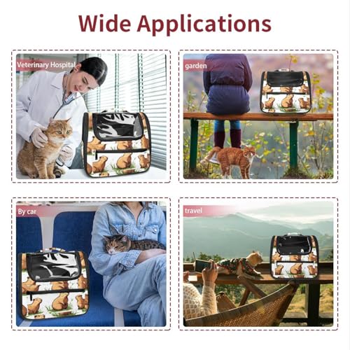 Airline Approved Pet Carrier Bag P201839