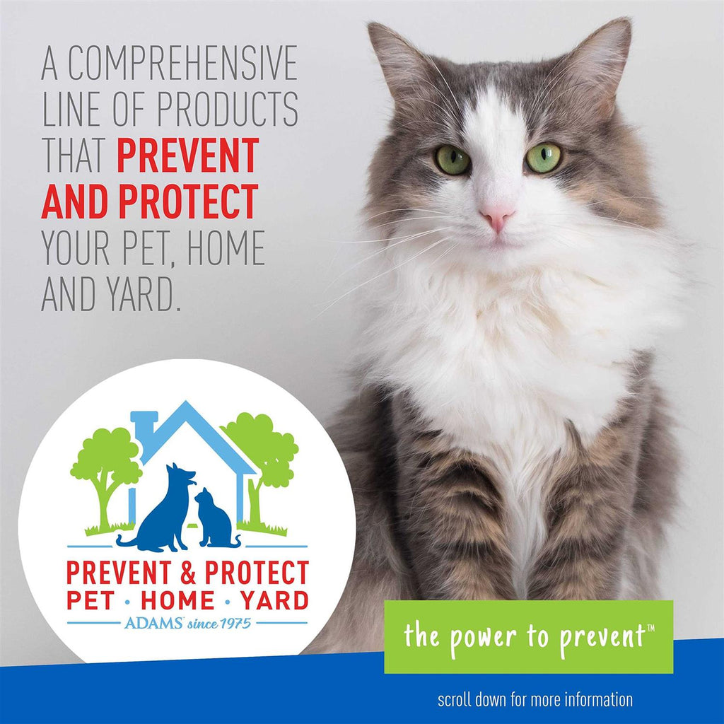 Flea & Tick Cleansing Shampoo for Cats X5467