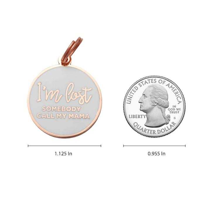 Rose Gold & White Pet ID Tag S85023