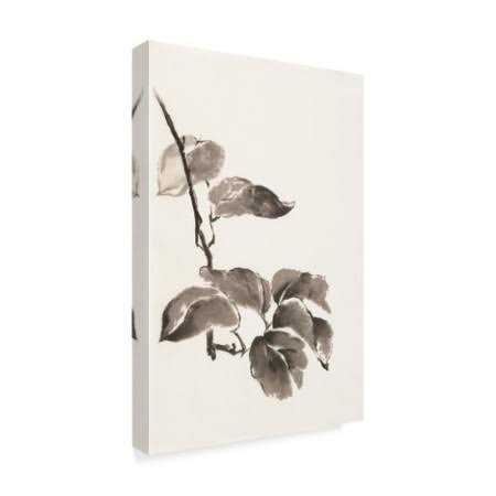 Canvas Q7028