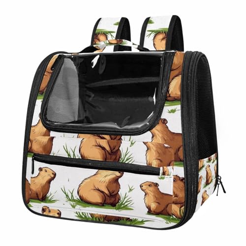 Airline Approved Pet Carrier Bag P201839