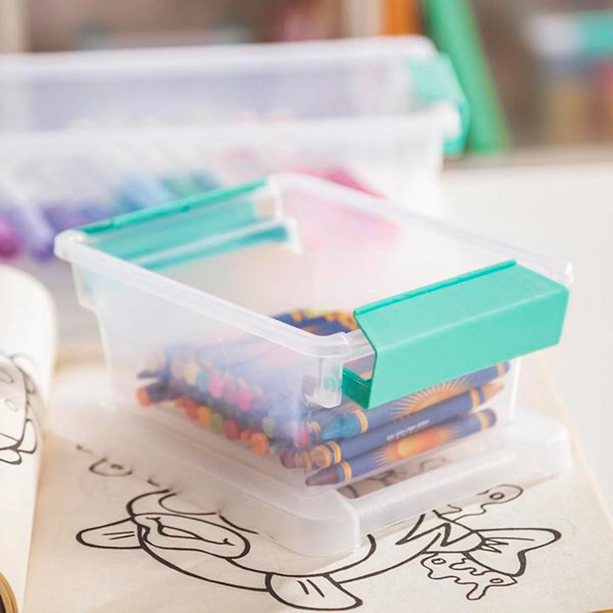 Mini Clip Storage Box 6 Pack and Medium Clip Storage Box 4 Pack K941