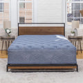 13 Plush Hybrid Mattress Twin C3762