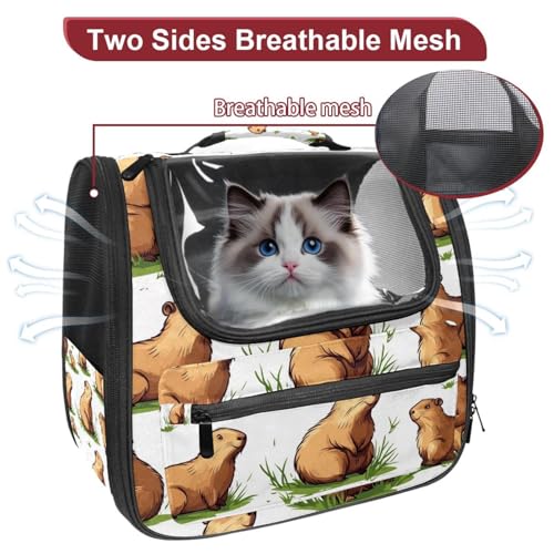 Airline Approved Pet Carrier Bag P201839