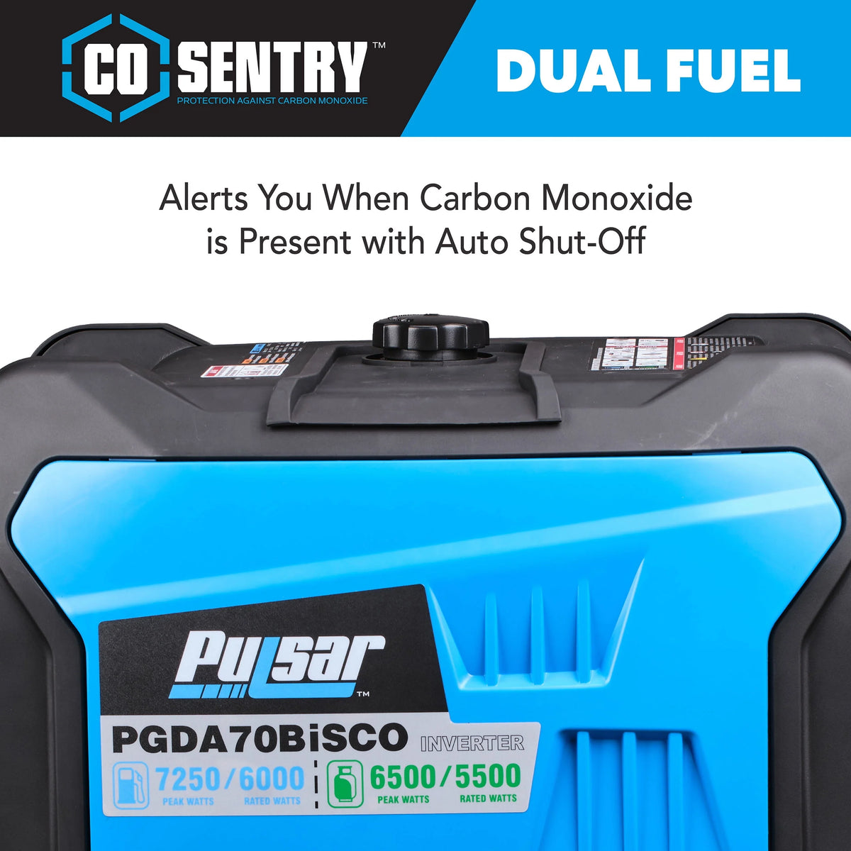 7,250 Watt Dual Fuel Inverter Generator with Remote Start R1871