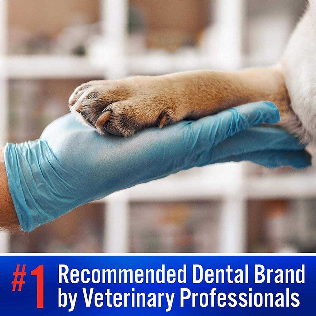 Enzymatic Toothpaste for Dogs & Cats Y892403