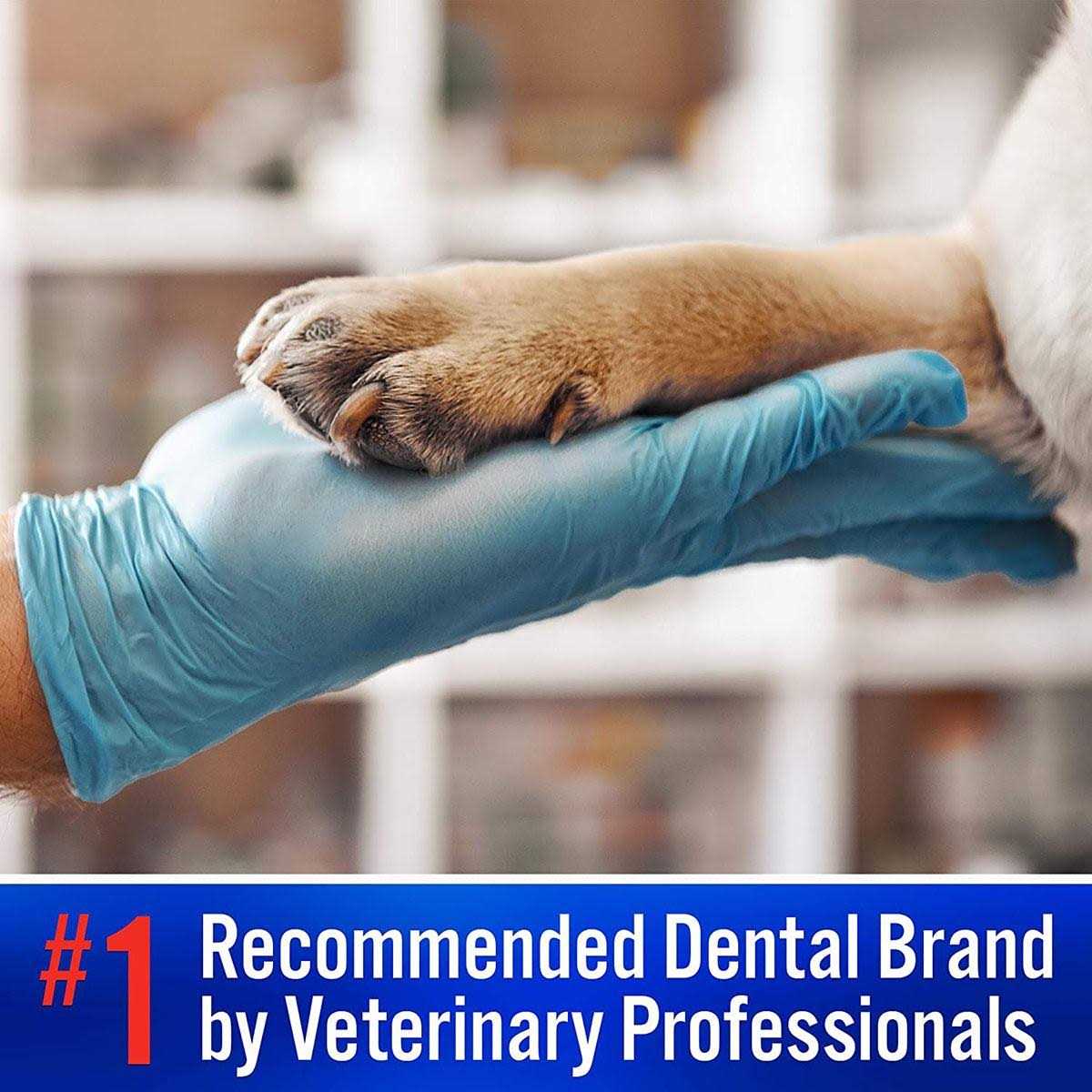 Enzymatic Toothpaste for Dogs & Cats Y892403