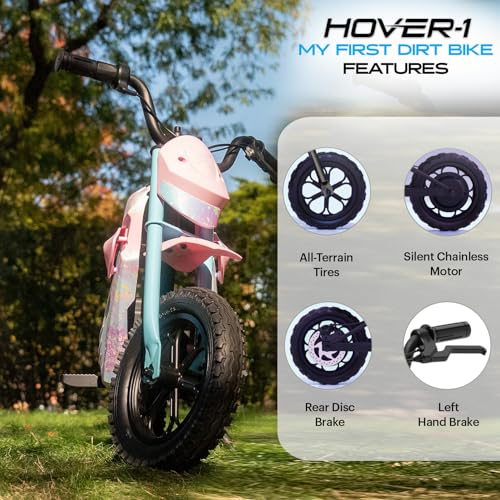 300W Motor 9MPH Max Speed 12” Off-Road Tires Electric Dirt Bike Z9310