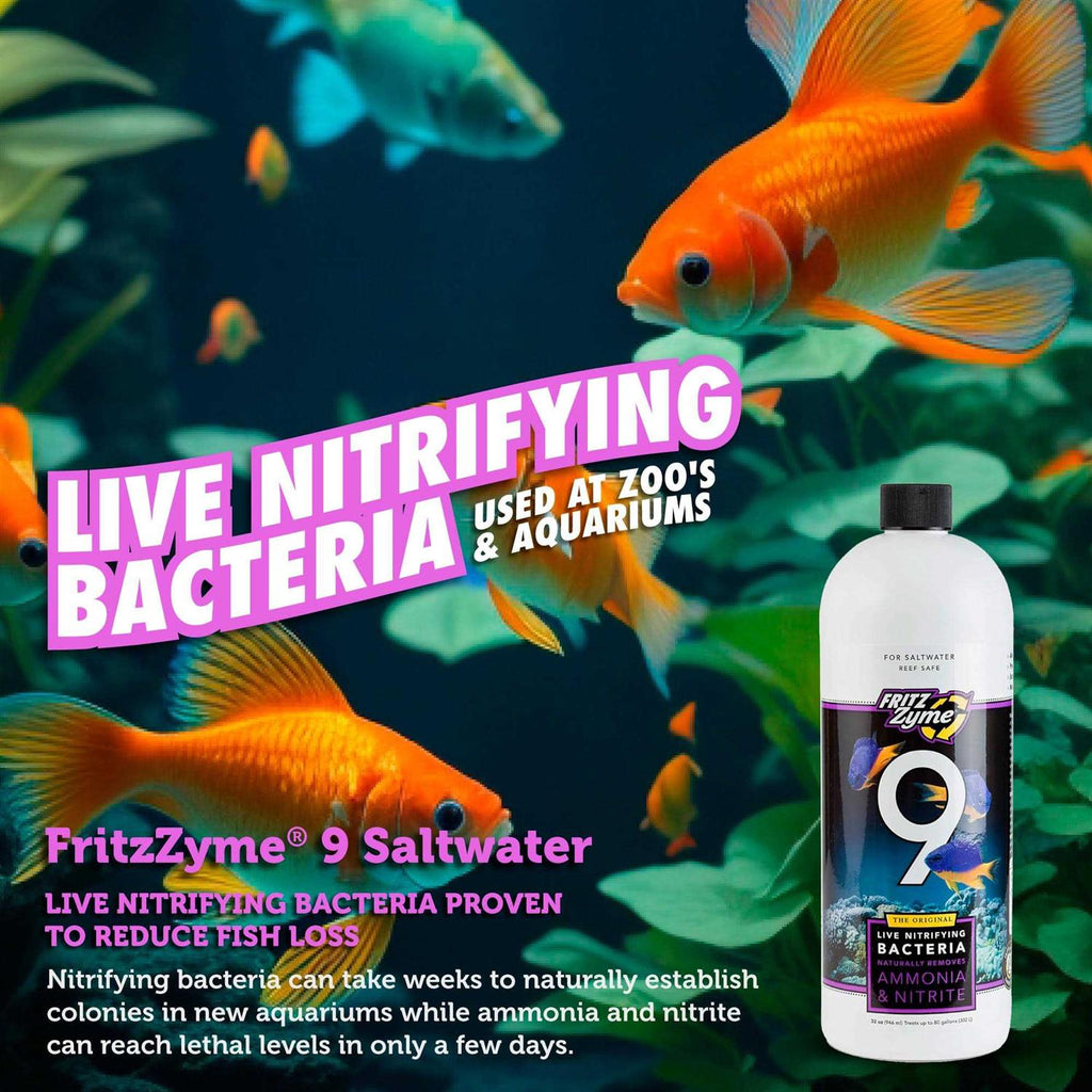 32 oz Saltwater Nitrifying Bacteria U475529
