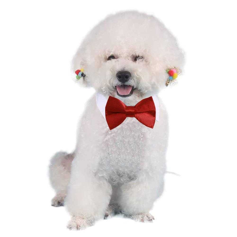Adjustable Pet Bowtie Collar O6923