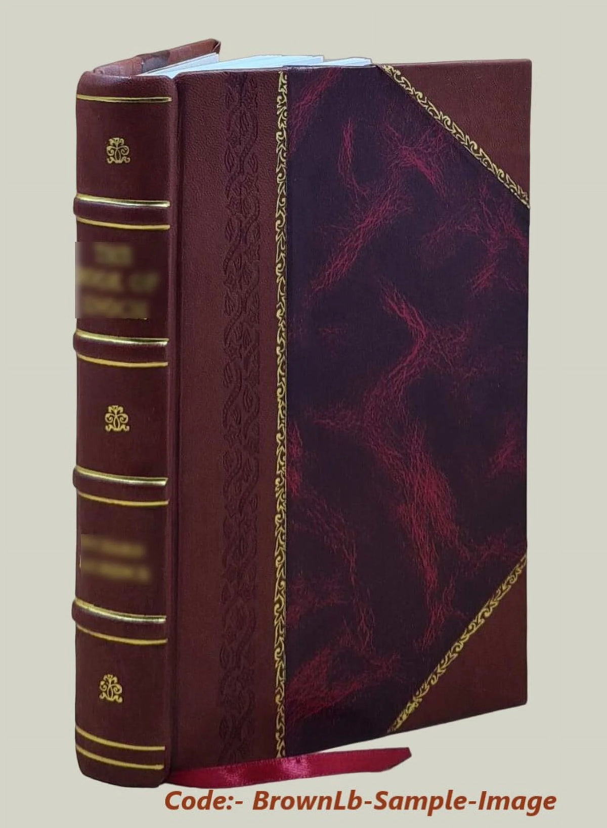 Statistics and Landeskunde Leather Bound P5727