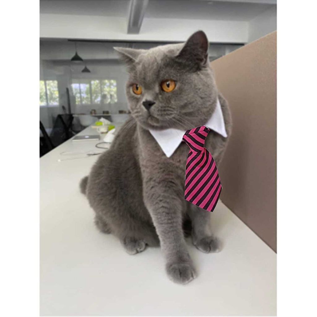 Adjustable Pet Bowtie Collar O6923
