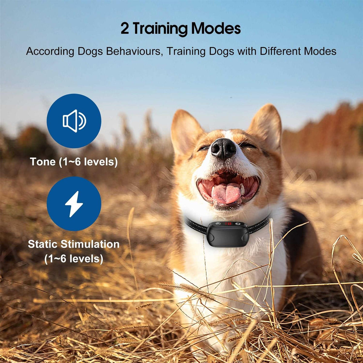 Anti Bark Waterproof Rechargeable Dog Collar Z1558