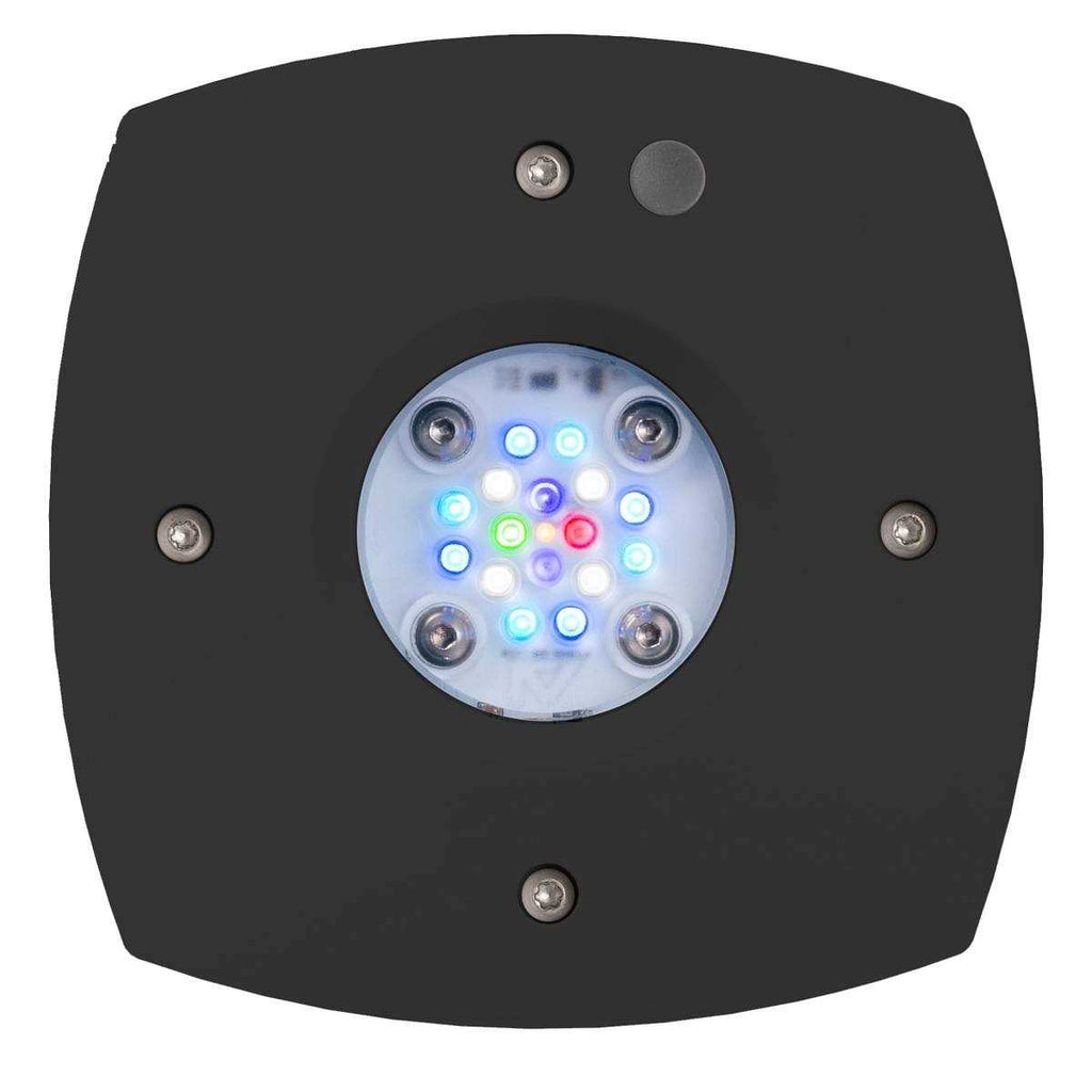 Prime 16HD Reef LED Q187