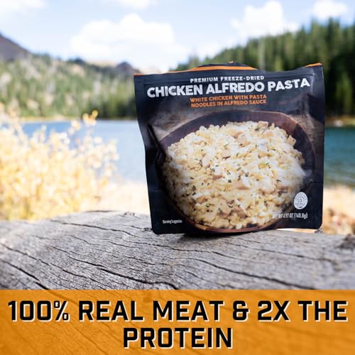 Chicken Alfredo Pasta Freeze Dried Camping Food 2-Pack R200