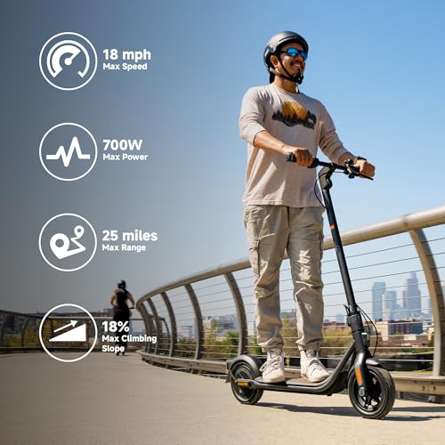 Electric Scooter Z1893