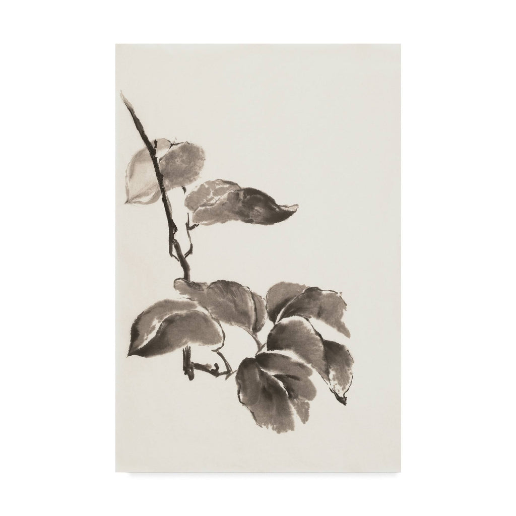 Canvas Q7028