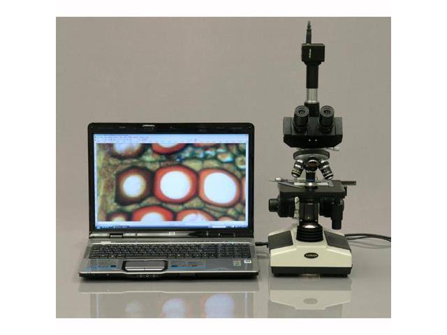 40X-2000X Trinocular Compound Microscope B2430