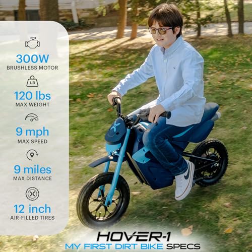 300W Motor 9MPH Max Speed 12” Off-Road Tires Electric Dirt Bike Z9310