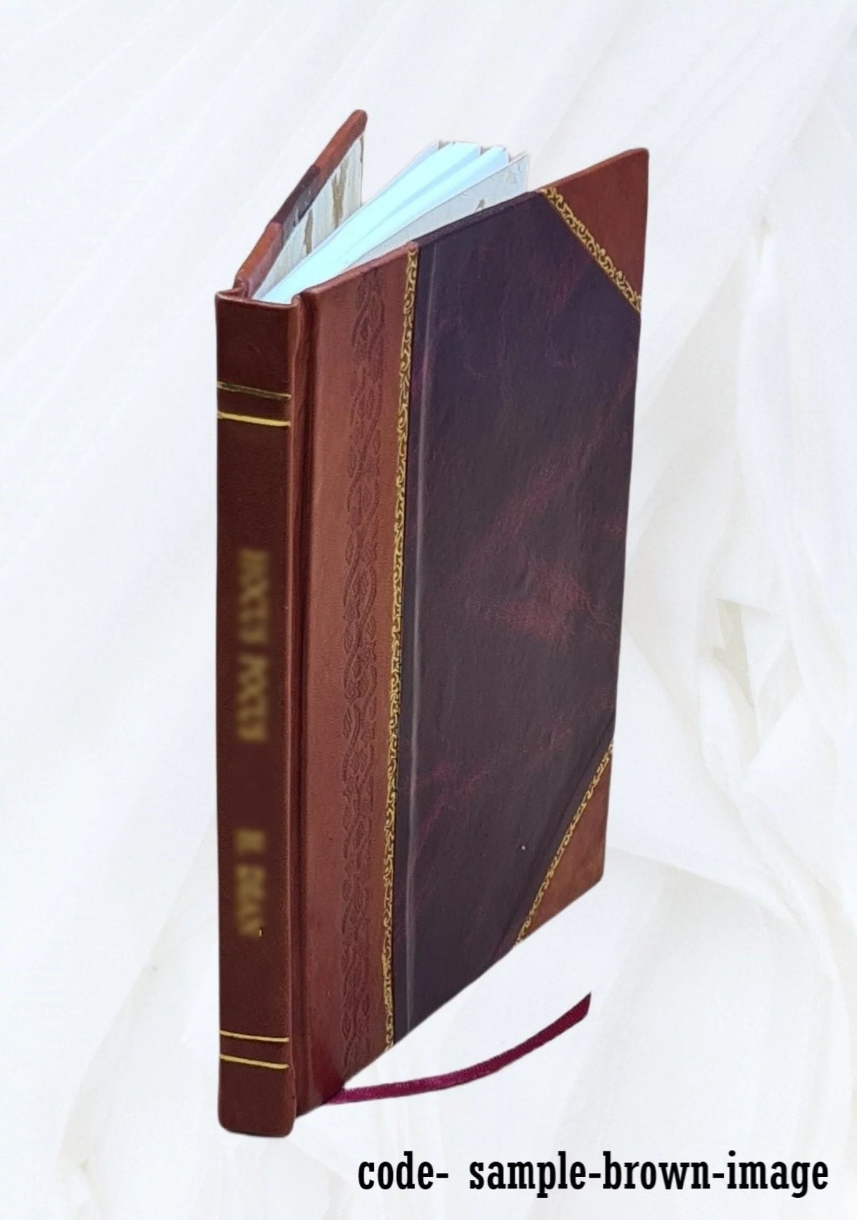 School Atlas 44 Karten Leather Bound Q841