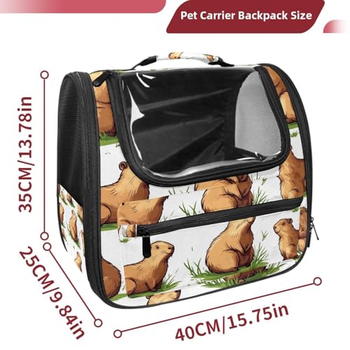 Airline Approved Pet Carrier Bag P201839
