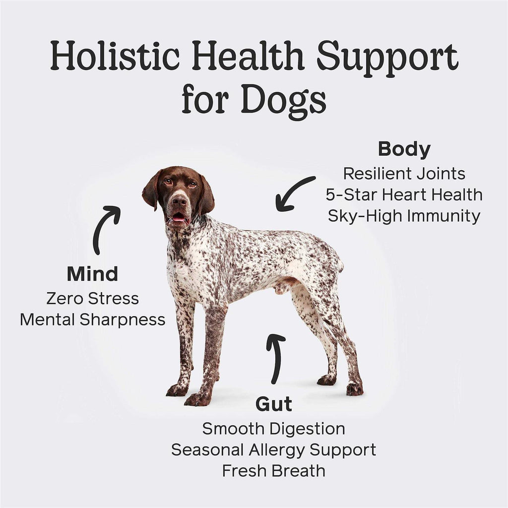 Dog Pet Supplies U36866