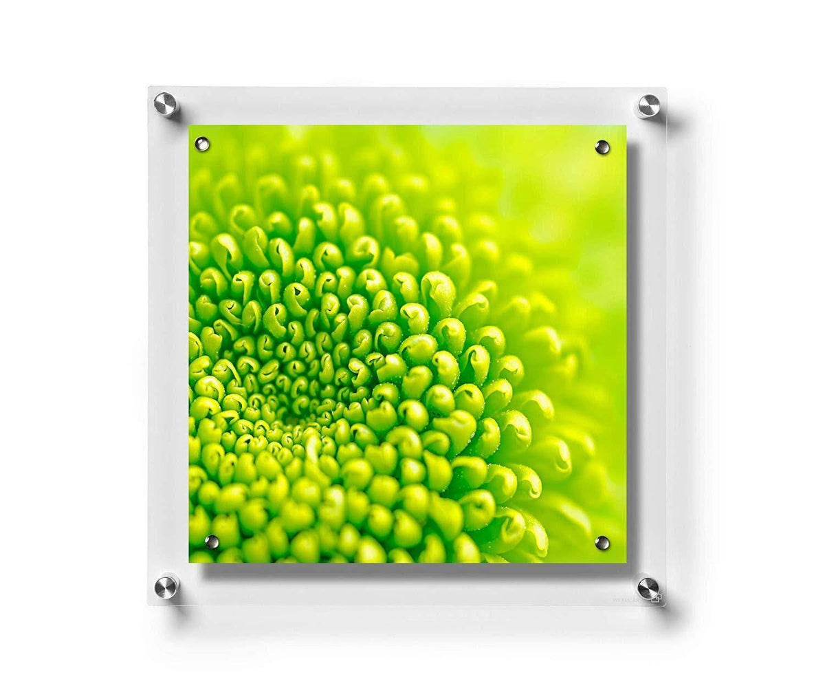 23x23-Inch Magnetic Acrylic Floating Frame with Silver Hardware W292