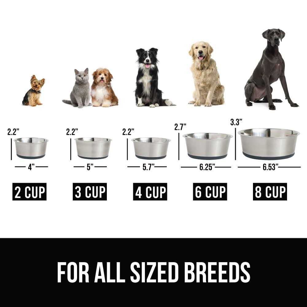 Stainless Steel Dog Bowl Set of 2 T9124