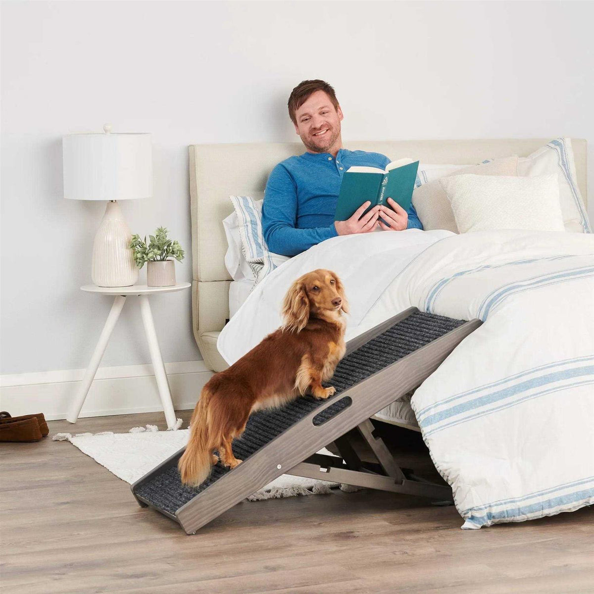 Indoor Pet Ramp U3643
