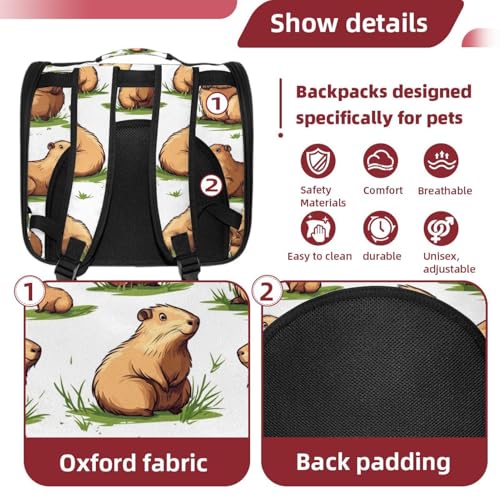 Airline Approved Pet Carrier Bag P201839