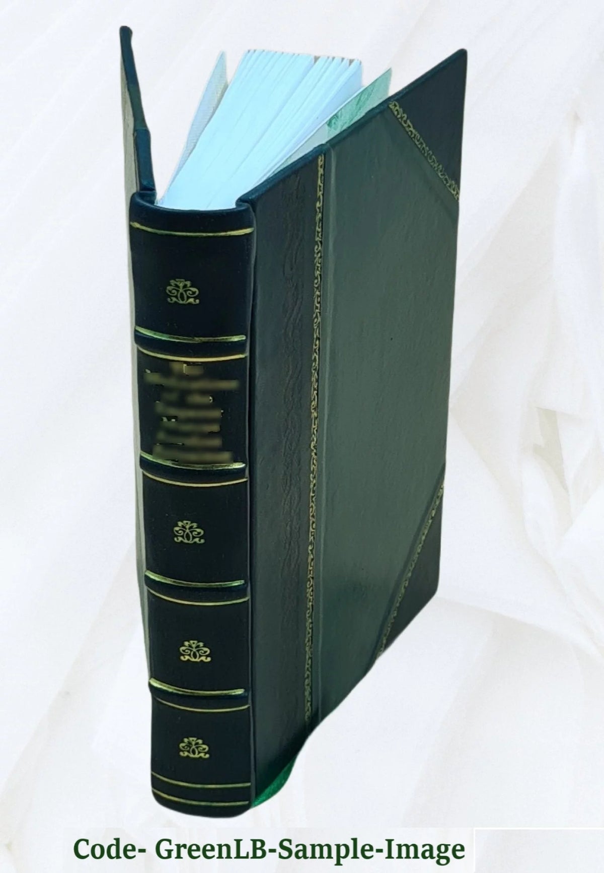 Leather Bound Book G76109