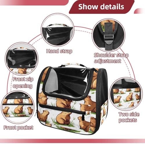 Airline Approved Pet Carrier Bag P201839