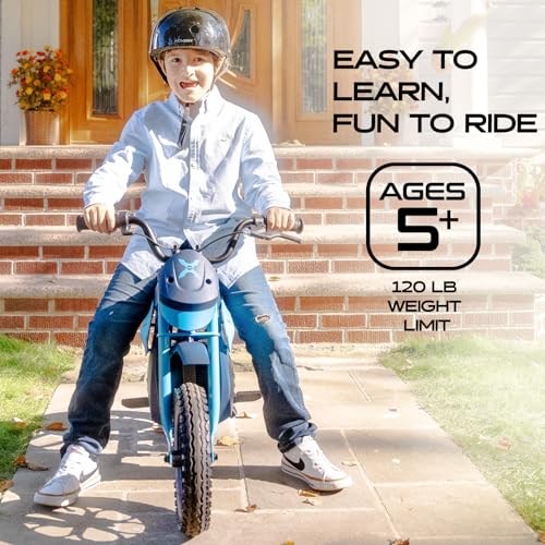 300W Motor 9MPH Max Speed 12” Off-Road Tires Electric Dirt Bike Z9310
